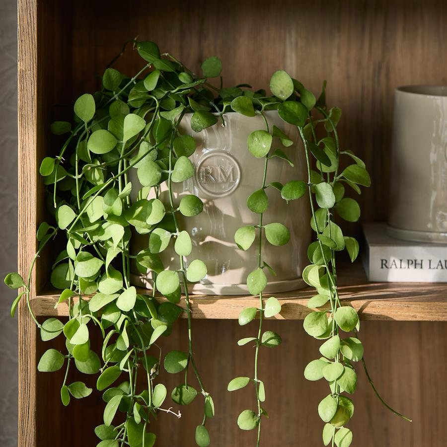 Bloempot Rivièra Maison Portofino Planter L - NIEUW!